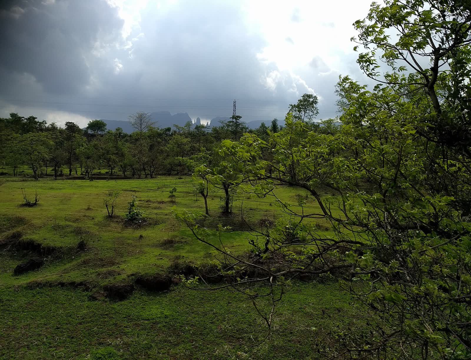 Igatpuri hills
