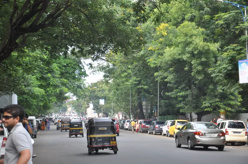 Fergusson College Road under its old trees, Pune